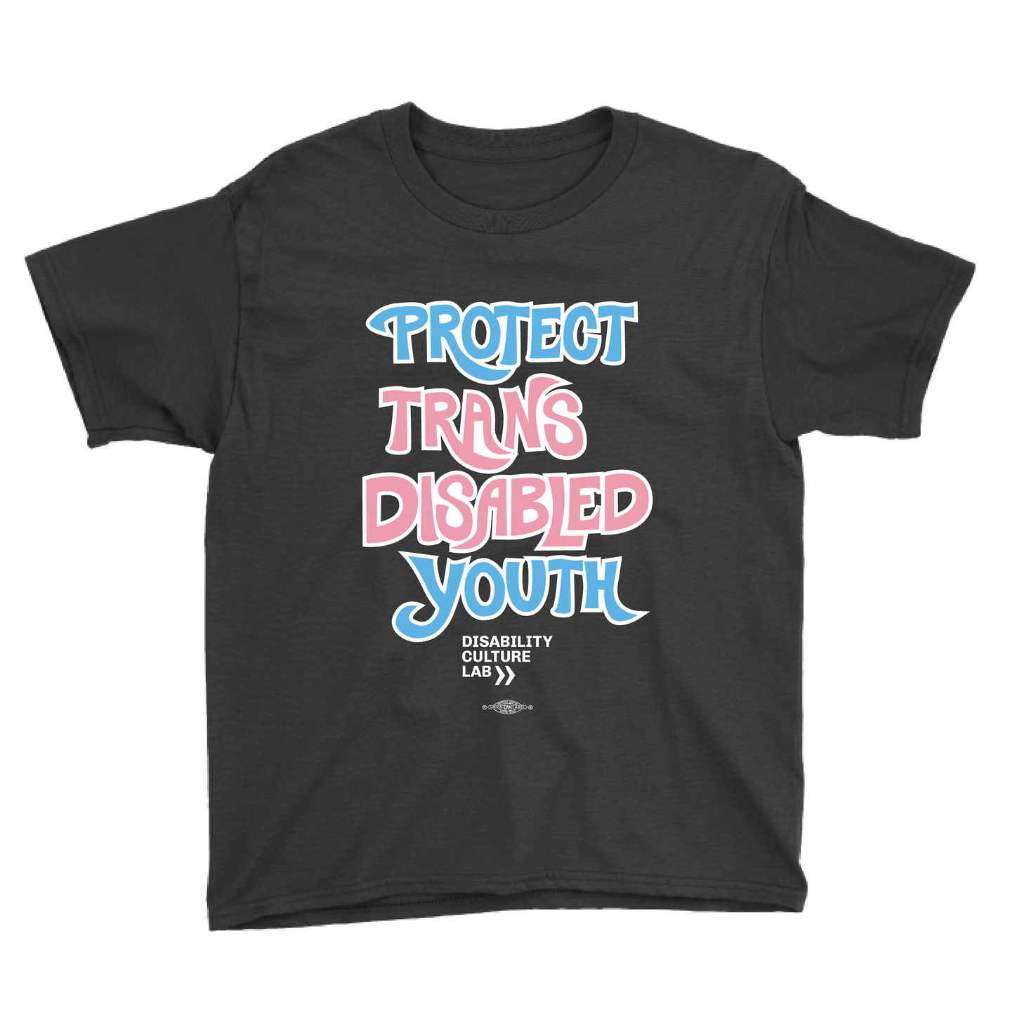 Black tshirt in kids size that reads “Protect Trans Disabled Youth” in hand drawn letters in the trans pride flag colors (light pink, sky blue, and white).