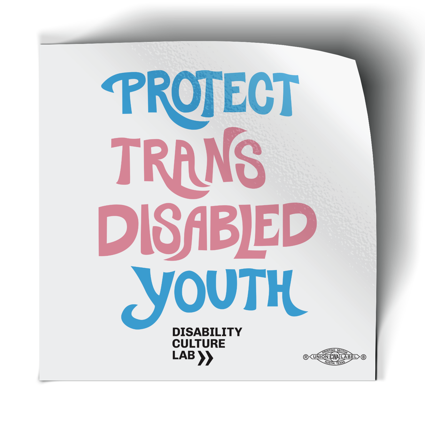 "Protect Trans Disabled Youth" hand drawn in light pink, sky blue, and white.