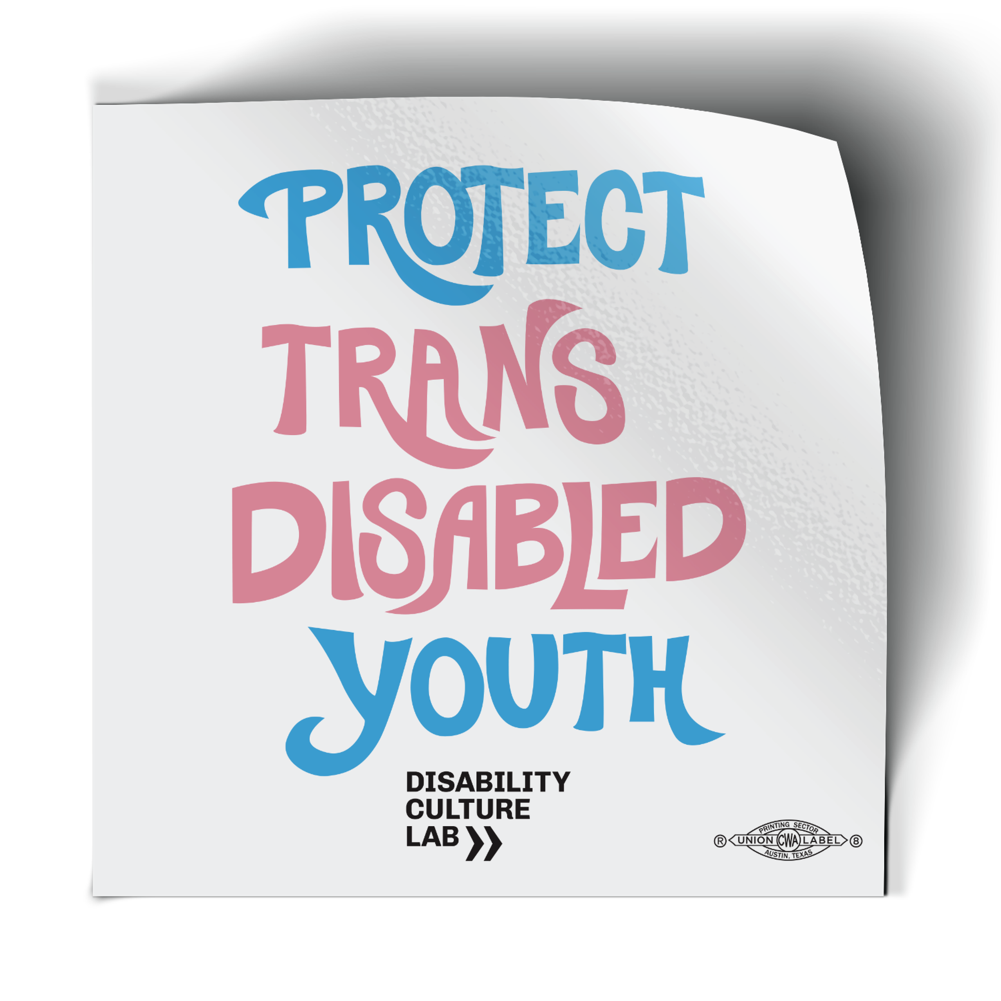 "Protect Trans Disabled Youth" hand drawn in light pink, sky blue, and white.