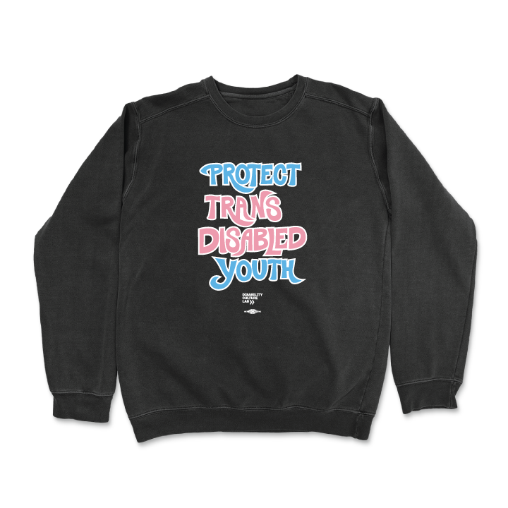 Black crewneck sweater that reads “Protect Trans Disabled Youth” in hand drawn letters in the trans pride flag colors (light pink, sky blue, and white). Below is the white Disability Culture Lab logo.